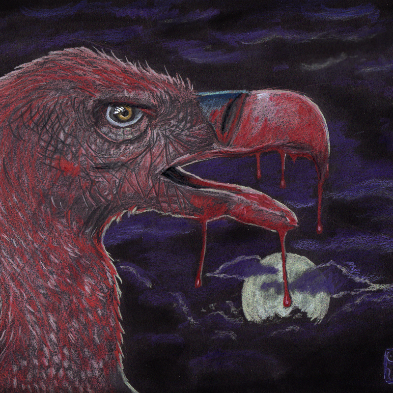 Vulture. Colored pencils on black paper. 2024.